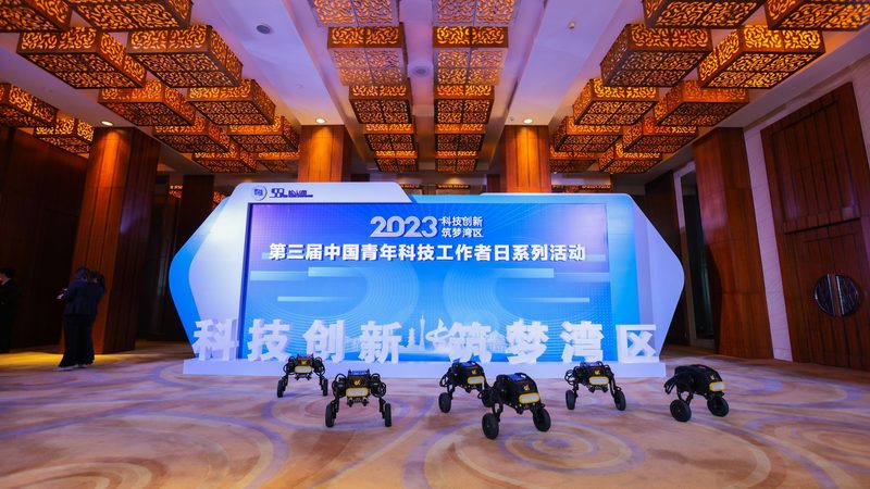 信息化建设项目管理流程书：构建高效IT项目的关键步骤